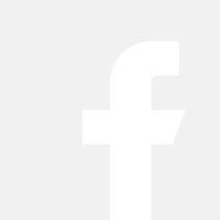 Icône facebook